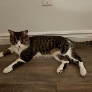 Meet your Posher, Jessica